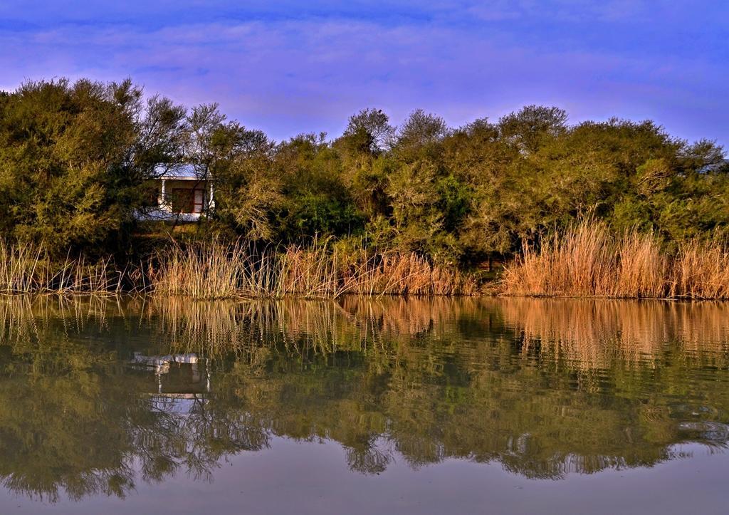 Umlambo River Lodge Kirkwood Bagian luar foto