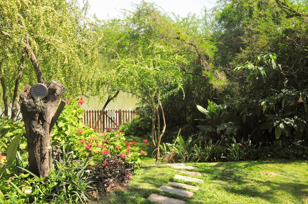 Umlambo River Lodge Kirkwood Bagian luar foto