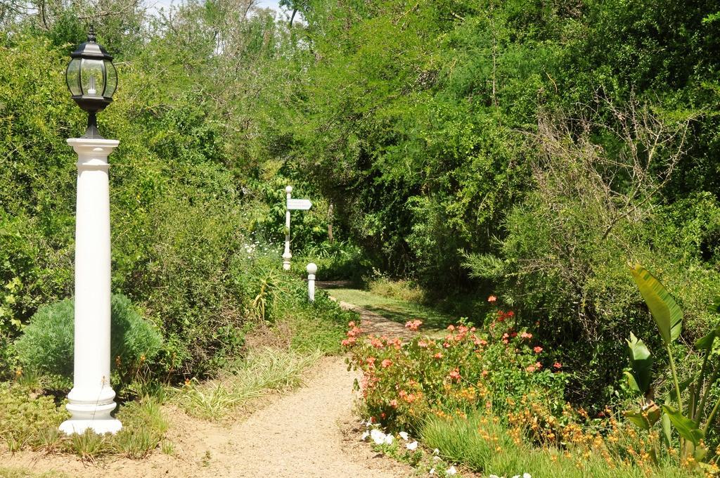 Umlambo River Lodge Kirkwood Bagian luar foto