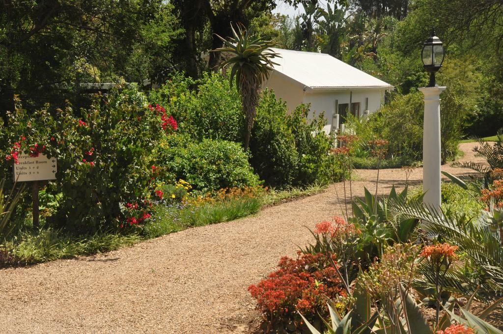 Umlambo River Lodge Kirkwood Bagian luar foto