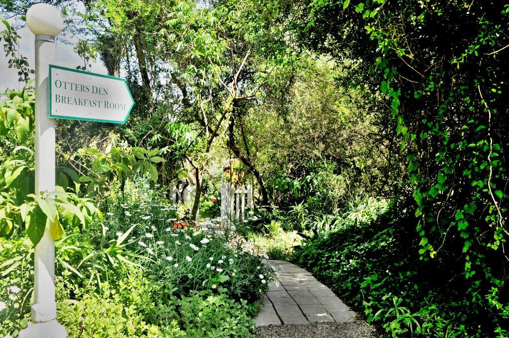 Umlambo River Lodge Kirkwood Bagian luar foto