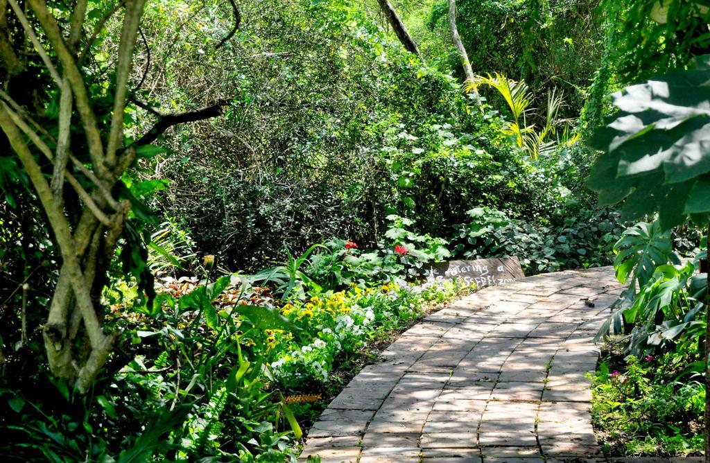 Umlambo River Lodge Kirkwood Bagian luar foto