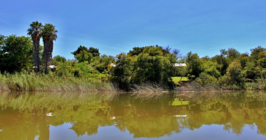 Umlambo River Lodge Kirkwood Bagian luar foto