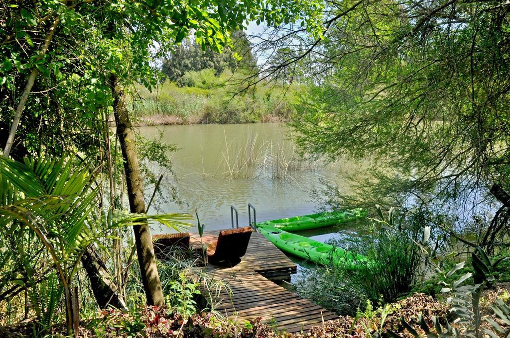 Umlambo River Lodge Kirkwood Bagian luar foto