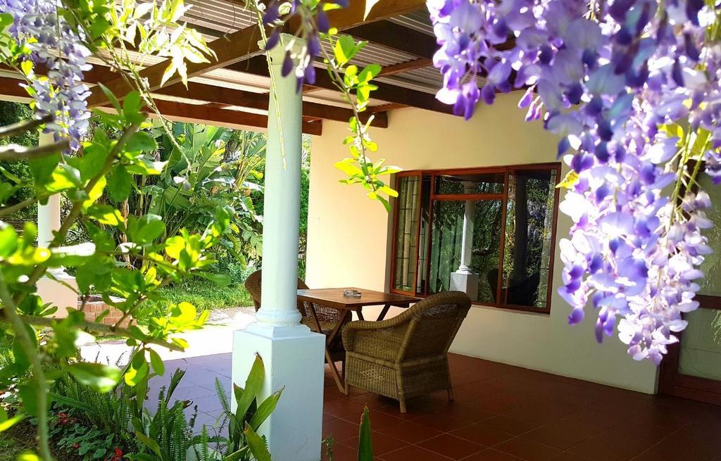 Umlambo River Lodge Kirkwood Bagian luar foto
