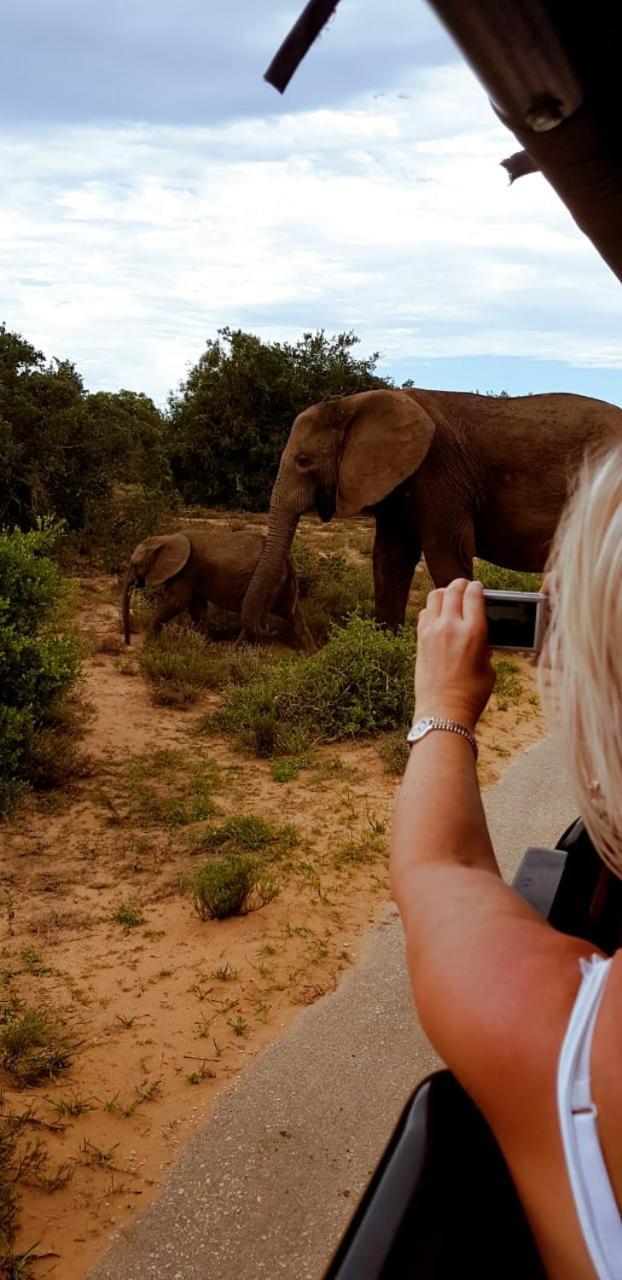 Umlambo River Lodge Kirkwood Bagian luar foto
