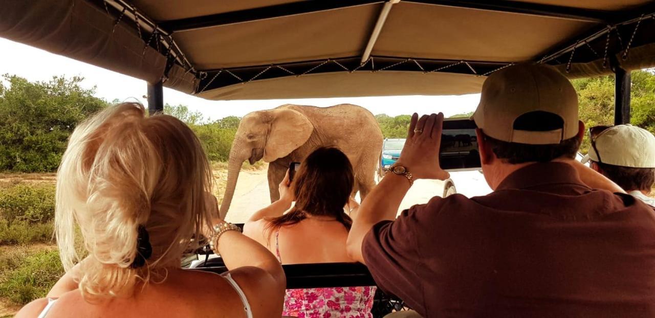Umlambo River Lodge Kirkwood Bagian luar foto