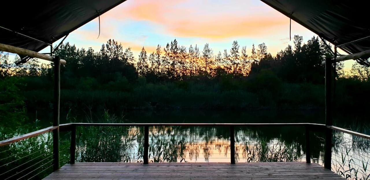 Umlambo River Lodge Kirkwood Bagian luar foto