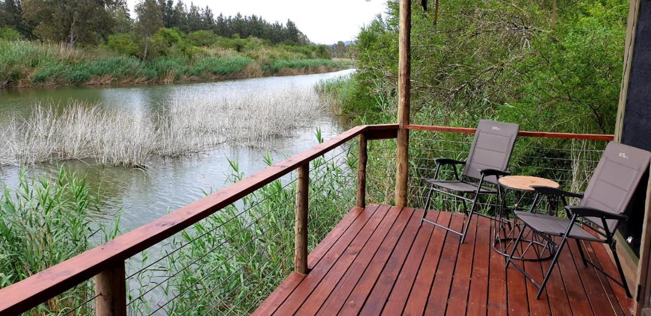 Umlambo River Lodge Kirkwood Bagian luar foto